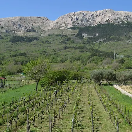 Marija Apartmán Draga Bašćanska